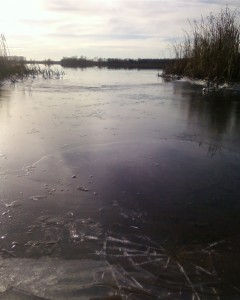 лёд вдоль берега