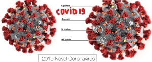coronavirus virus 2020_сcovid19